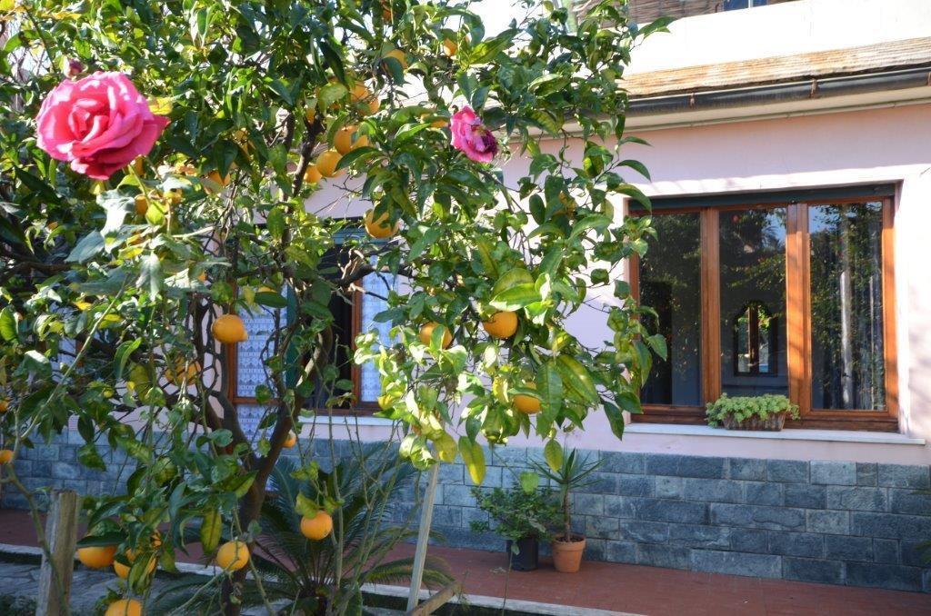ג'נובה Casa Tra Il Verde E Il Blu חדר תמונה